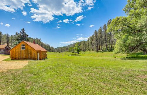 Custer House | Remote Custer Cabin with Fire Pit and Near State Park!