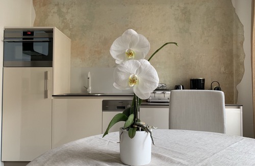 Merano Historic Center Apartment | Rennweg 114