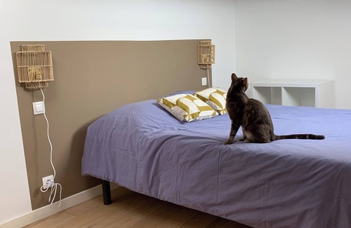 Saint Seurin - Fondaudege Apartment | Rent apartment Bordeaux Centre Fondaudège -2 bedrooms, 58m² (83 m2 total)