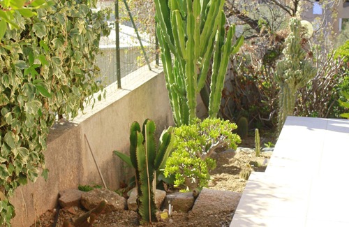 Propriano Villa | rental in the gulf of valinco in Propriano