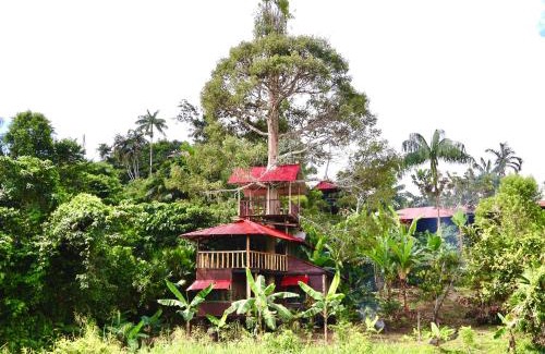Leticia Cabin | Reserva Natural Natura Park