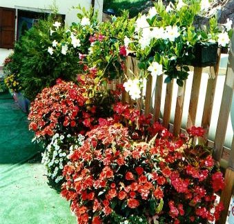 Rigolato House | Residence Sugrac