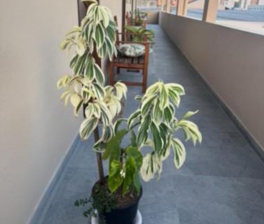 Alto Sao Bento Apartment | Residencial Lara 03