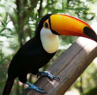 Sepetiba House | Resort Brisa