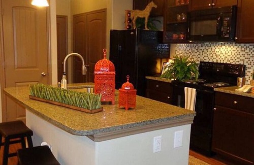 Grogan's Mill Apartment | Resort Style 2 Bedroom/2 Bath Apt./Condo in The Wo