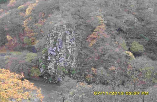 In der Au House | Rest and relaxation in the upper Nahe valley