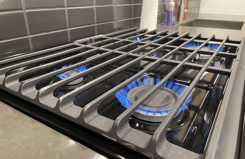 Reston Apartment | Reston Town Center Station Apartment - 10 mins walk to DC access!