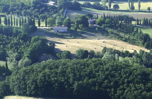 Ponte d'Assi House | Retino - Ivy - Mini apartment immersed in the greenery of the Tenuta di Fassia