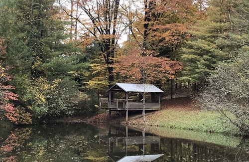 Leicester Cabin | Retreat with rustic cabin, picnic shed and ponds