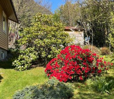 Ulsteinvik Apartment | Retro hus med fin beliggenhet