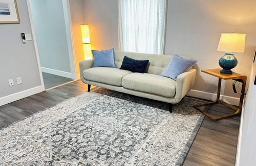 Tampa Apartment | Retro Modern Apartment central to Vibrant Tampa