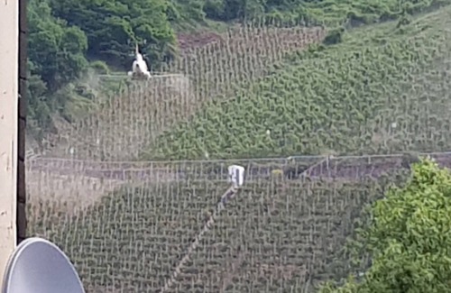 Senhals Apartment | Riesling Apartment in Haus Lowe