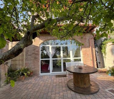 Montopoli in Val d'Arno House | Rifugio tra gli olivi in campagna Toscana