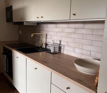 Rukatunturi Apartment | Rinneköngäs