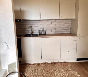 Rukatunturi Apartment | Rinneköngäs