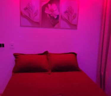 Sao Cristovao Apartment | RIO DE JANEIRO São Cristóvão Klein