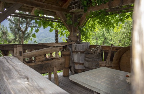 Laion Apartment | Ritschhof - Spruce apartment