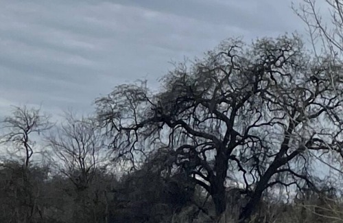 Raisin House | River country home- near Kingsburg