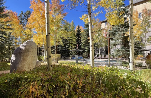 River Run Condo | River Run Condo, 5 Minute Walk To The Gondola. 1 bed, 1 bath, sleeps 6
