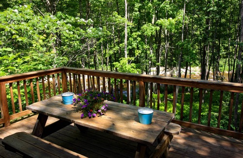 Jackson Cabin | Riverfront Cabin - Near Storyland