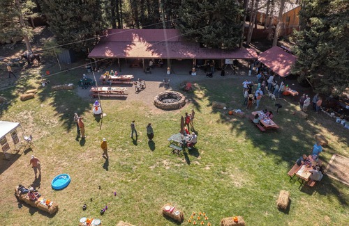 Almont House | Riverfront Cabins: Fish, Raft & Ride in Colorado's Outdoor Playground
