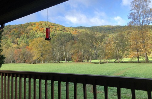 Hiawassee House | Riverfront Mountain Cabin with 2000’ of Trout River Fishing and Mountain Views