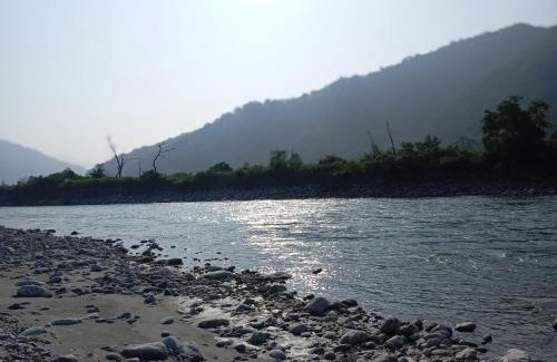 Ramnagar Cabin | Riverside Forest Retreat Camp, Corbett Jungle Inn , NH-309,Muhan,Dhikala Range opposite Mohan Eco Safari Zone Jim Corbett National Park Ramnagar