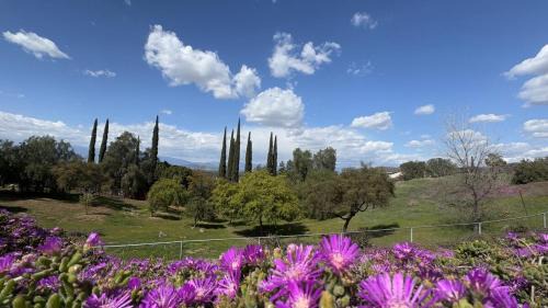 Riverside House | Riverside Views & Pool Retreat