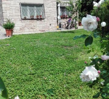 Lucca Historical Center House | Robin's nest