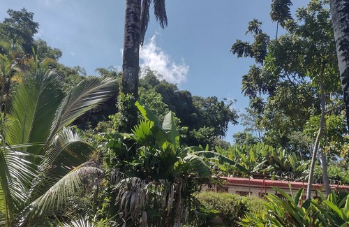 Santa Lucia Apartment | Rocamar