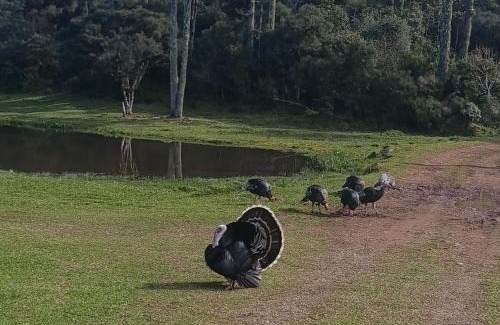 Cambara do Sul Hotel | Rodeio das Lagoas Pousada