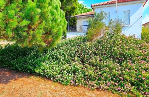 Pylos-Nestoras Villa | Romanos Beach Villas : Holiday Home - Beach Front