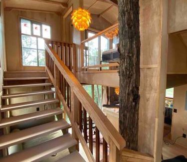 Kailua-Kona House | Romantic Cabin Treehouse in Hawaii Cloud Forest