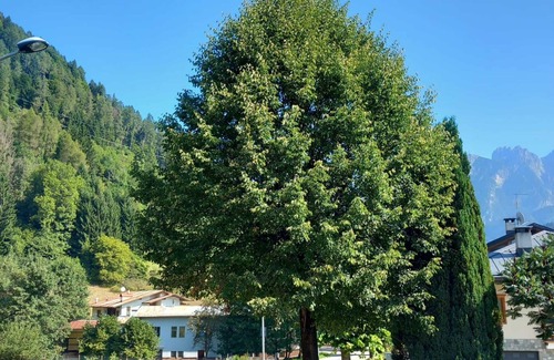 Lozzo di Cadore Apartment | Room 'Camera 1' with Wi-Fi