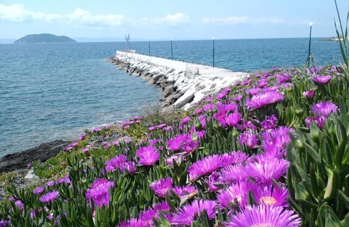 Neos Marmaras House | Room in BB - Welcome To Hotel petunia, In Neos-marmaras,xalkidiki ,greece, triple room 6