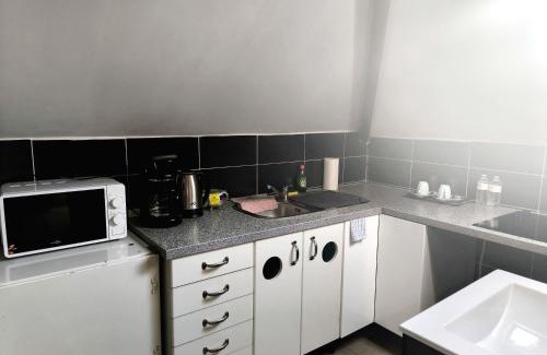 Sint-Jans-Molenbeek Apartment | Room near the center with bathroom and kitchen