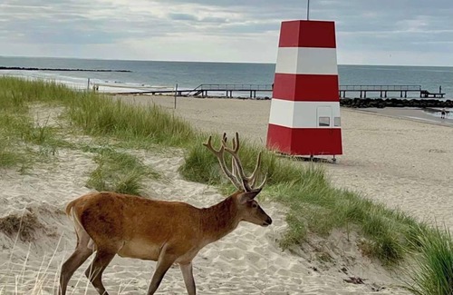 Roslev Boat Rental | Room with sea view Whilpool ca.40 Sun deck, bathing platform