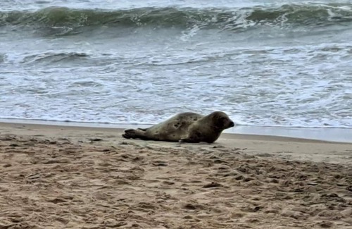 Roslev Boat Rental | Room with sea view Whilpool ca.40 Sun deck, bathing platform