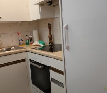 Meierhof Apartment | Rose Davos