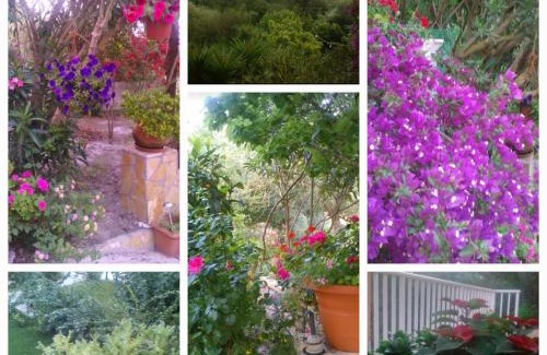Argassi House | Rosemary holiday home
