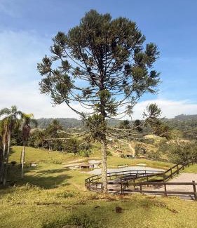 Alfredo Wagner Ski Chalet | Rota do Engawno