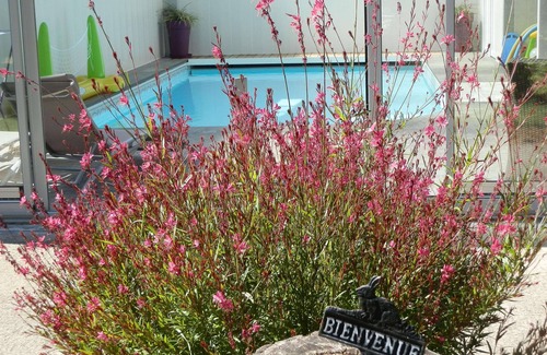 Doue-en-Anjou House | ROULOTTE GITE JACUZZI HEATED COVERED PRIVATE POOL AND SAUMUR DOUE