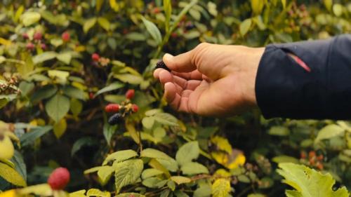 Rivas Apartment | Route to Cerro Urán - Chirripó