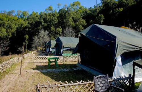 Bhimtal Other | Royal Chaudhary Camp