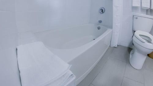 Penuelas Hotel | Royal Delonix