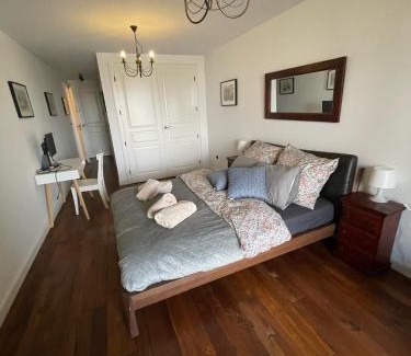 Stare Podgorze Apartment | Royal Oak - 3BD 2BA apartment with parking and river view