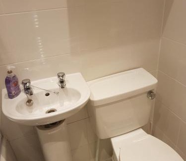 Paisley Apartment | Rozina Apartment