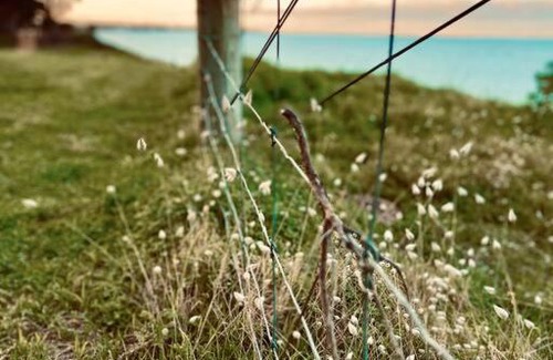 St Leonards House | Ruby by the bay a perfect getaway
