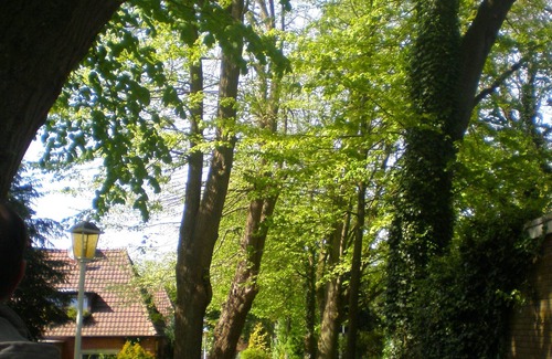 Emden Apartment | Ruhige Apartment mit Terrasse im Zentrum Emdens