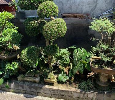 Peliatan House | Rumah Wide Home Stay